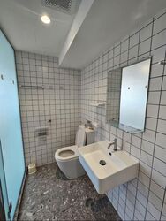 Kelantan Lane (D8), Apartment #579730221